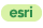 Esri Esteemed Contributor