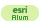 Esri Alum